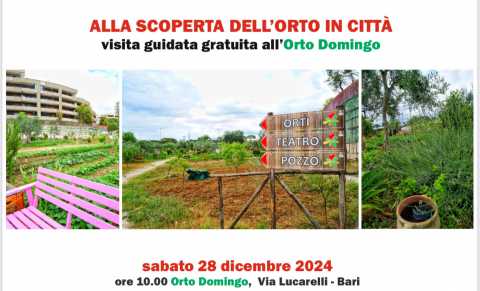 Bari, visita all'Orto Domingo alla scoperta dei suoi alberi